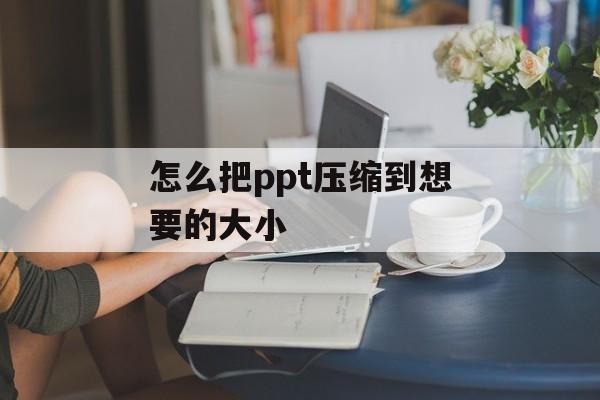 怎么把ppt压缩到想要的大小