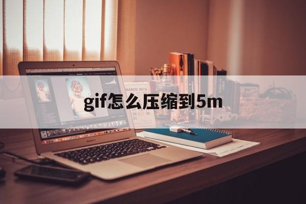 gif怎么压缩到5m